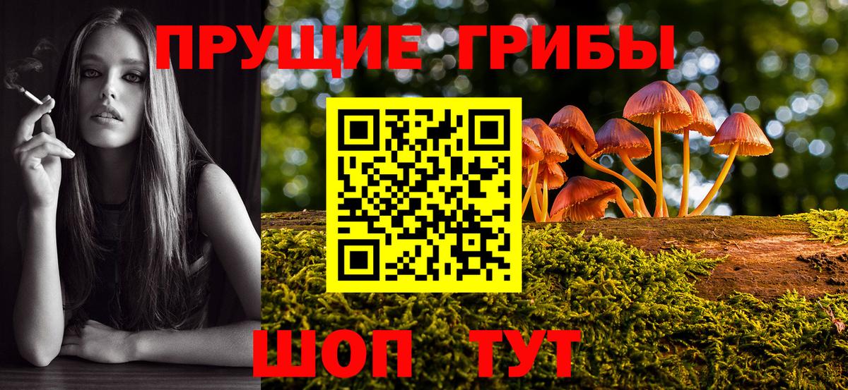 Новомосковск  Псилоцибиновые грибы Magic Shrooms  Вход с VPN 
